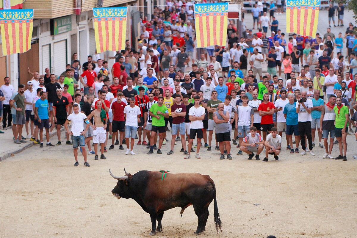 Una persona fallecida y otra herida durante la celebración de los bous al  carrer en la Pobla de Farnals